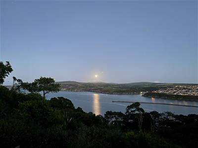 Picture 16